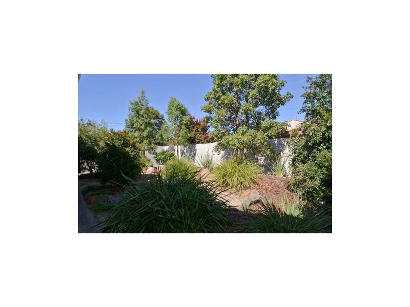 1 Fry Terrace, Newton SA 5074