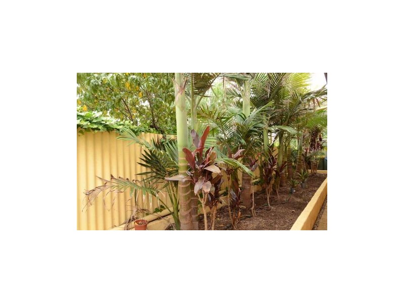 4/22 Mathias Avenue, Cumberland Park SA 5041