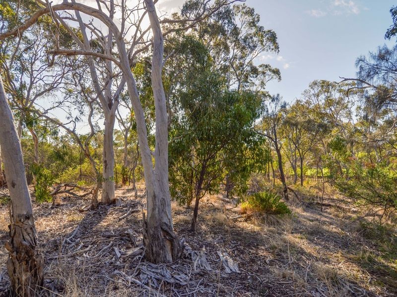 2 Myrtlebank Terrace, Stonyfell SA 5066