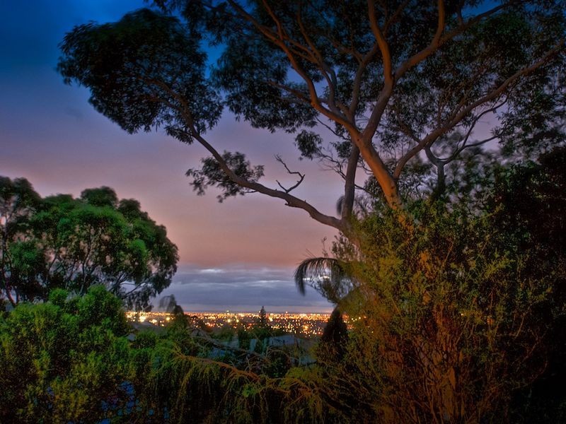 49 Wyfield Street, Wattle Park SA 5066