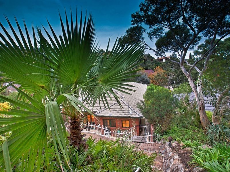 49 Wyfield Street, Wattle Park SA 5066