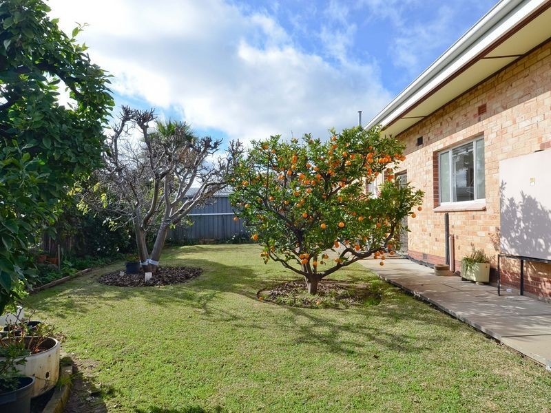 1A Water Street, Kensington Park SA 5068