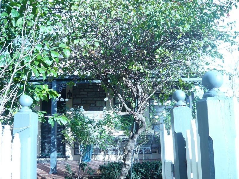 2 Catherine Street, Beulah Park SA 5067