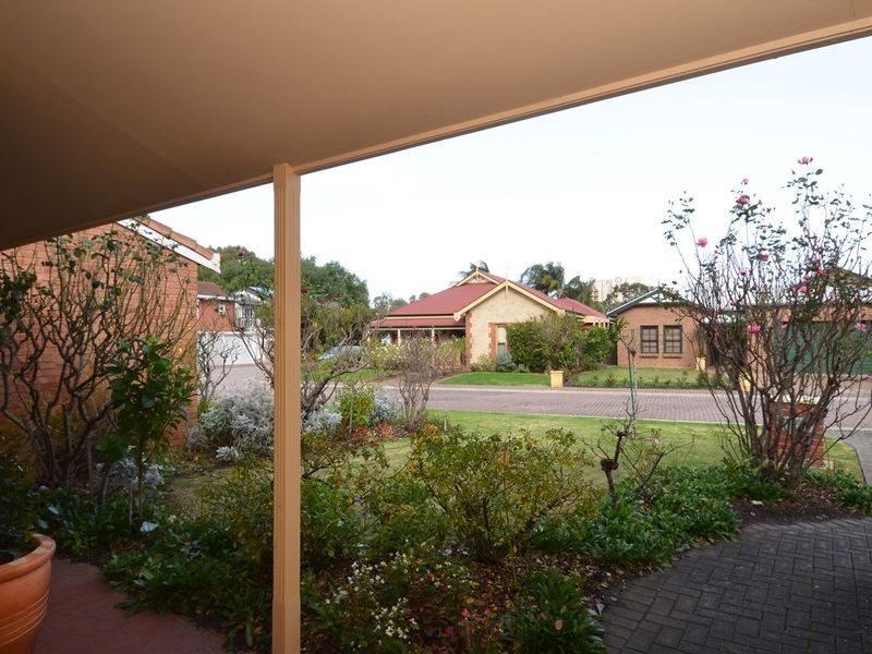 6 Paech Mews, Walkerville SA 5081