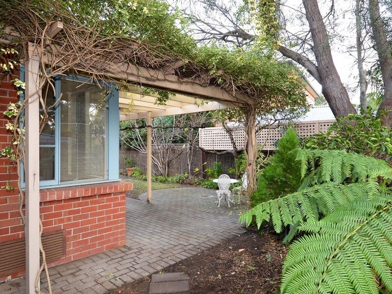 6 Paech Mews, Walkerville SA 5081