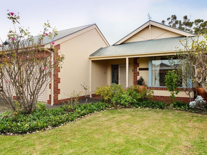 6 Paech Mews, Walkerville SA 5081