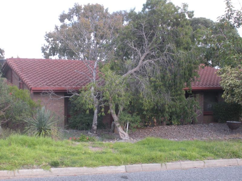 17 Selangor Avenue, Fairview Park SA 5126