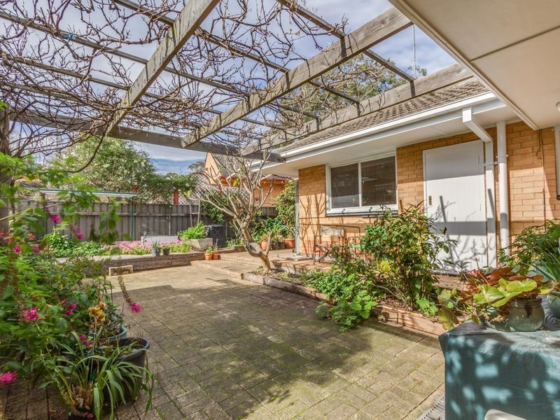 14 Carunta Street, Wattle Park SA 5066