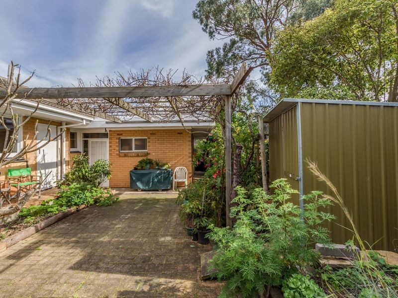 14 Carunta Street, Wattle Park SA 5066