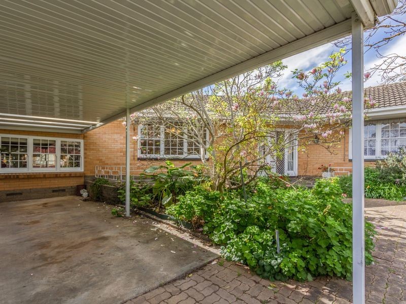 14 Carunta Street, Wattle Park SA 5066