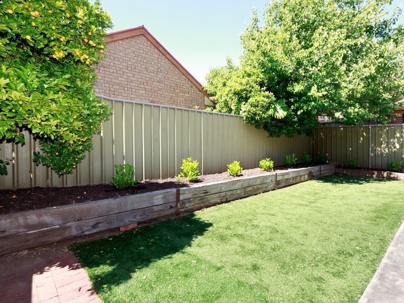 56 Maesbury Street, Kensington SA 5068