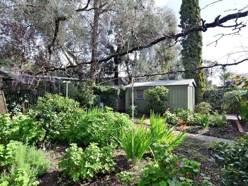 14 Hamish Grove, Rostrevor SA 5073