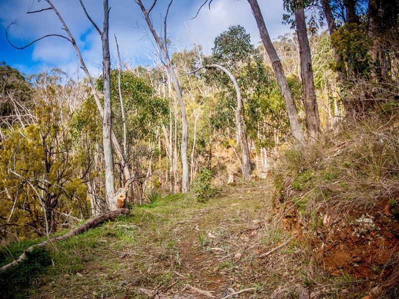 276-277/ Mawson Road, Basket Range SA 5138