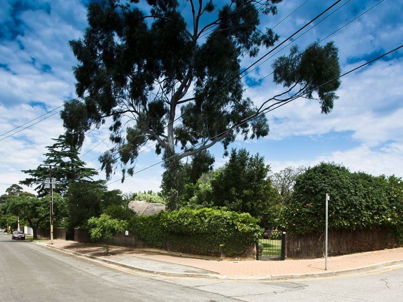 12 Burlington Street, Walkerville SA 5081