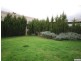 4 Arthur Street, Toorak Gardens SA 5065
