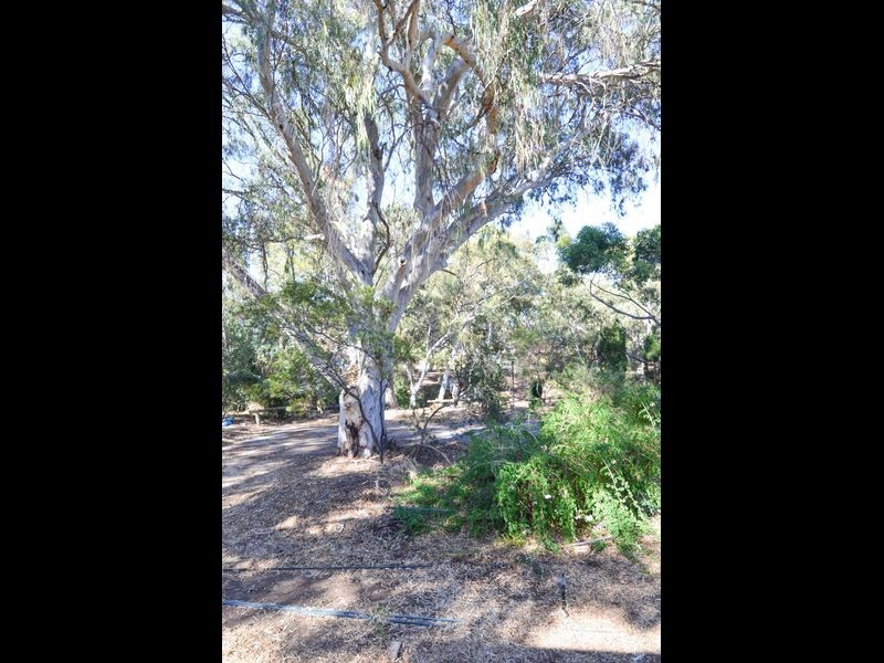 28 Radar Street, St Agnes SA 5097