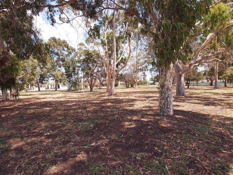 26 Lawson Avenue, Morphettville SA 5043