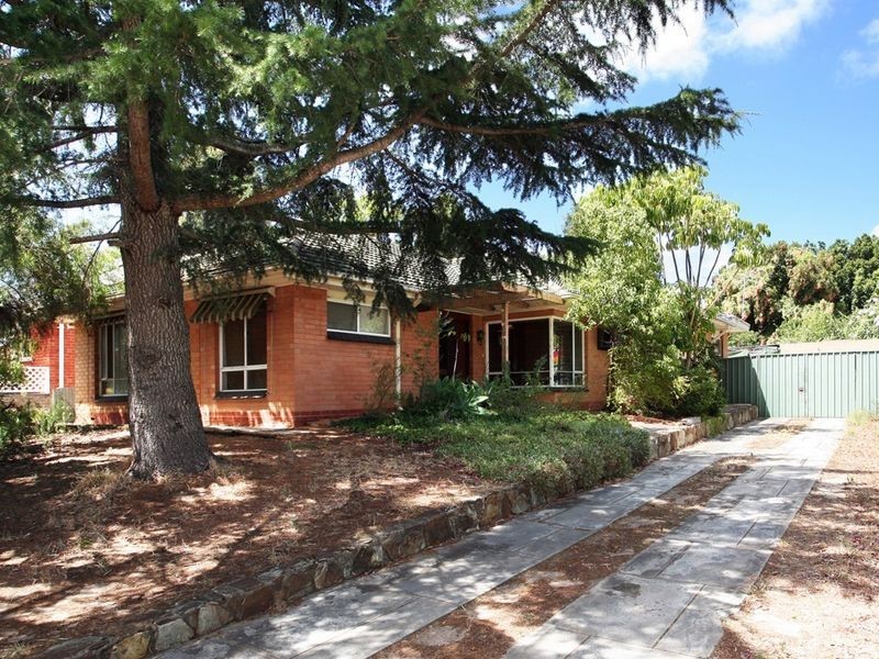 11 Aboyne Street, Banksia Park SA 5091