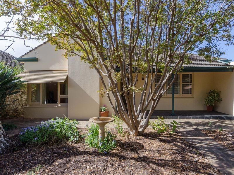 1 Windsor Avenue, Magill SA 5072