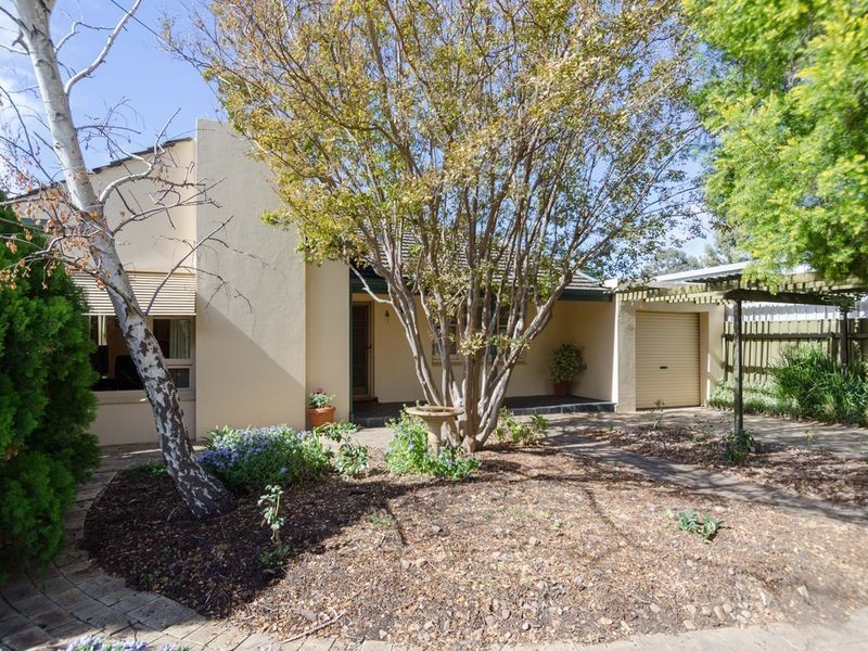 1 Windsor Avenue, Magill SA 5072
