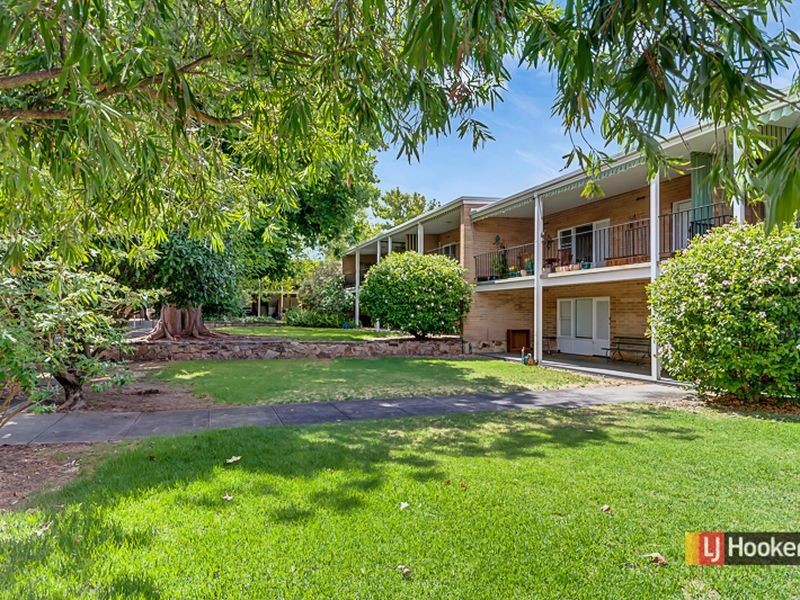 8/42 Tusmore Avenue, Tusmore SA 5065