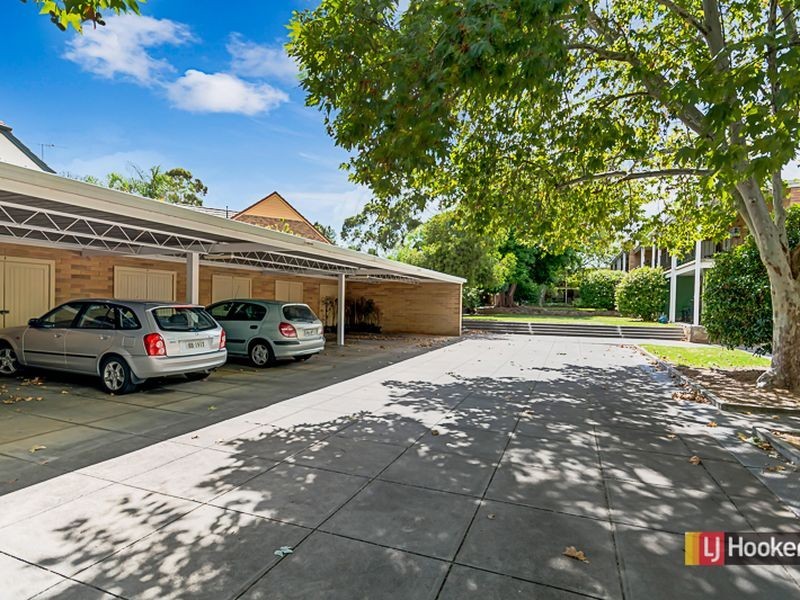 8/42 Tusmore Avenue, Tusmore SA 5065