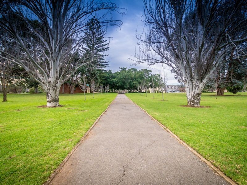 41 Rothesay Avenue, Hazelwood Park SA 5066