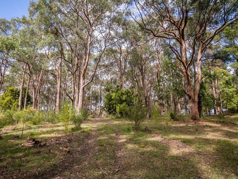 13 Hollidays Road, Summertown SA 5141