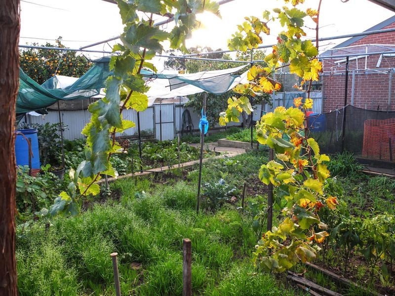 4 Birkinshaw Avenue, Tranmere SA 5073