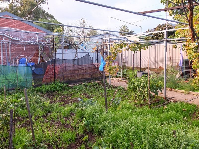 4 Birkinshaw Avenue, Tranmere SA 5073