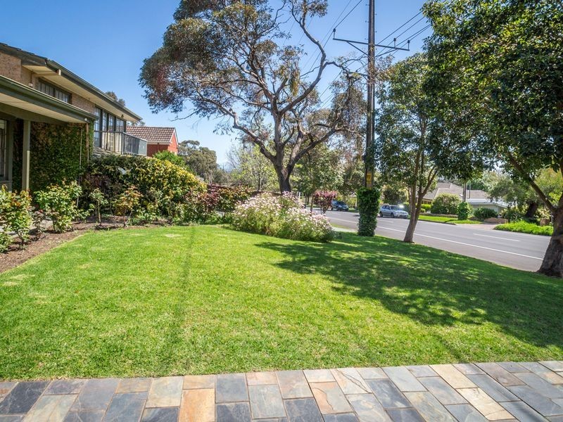 50A Cooper Place, Beaumont SA 5066
