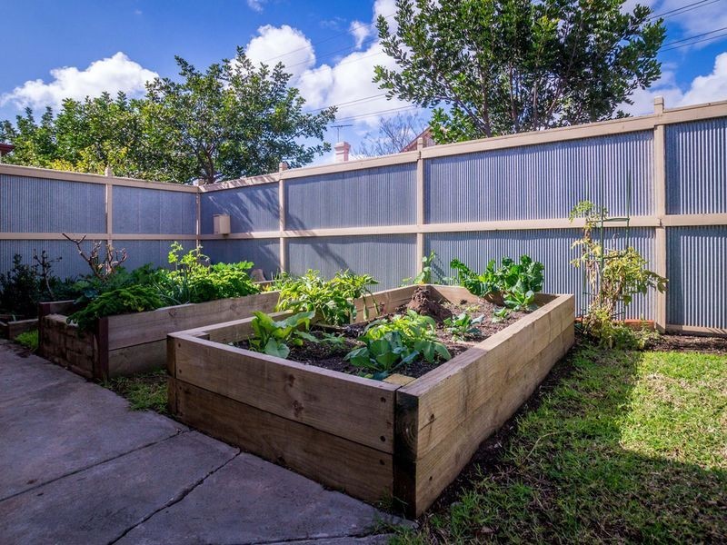 19 Vine Street, Beulah Park SA 5067