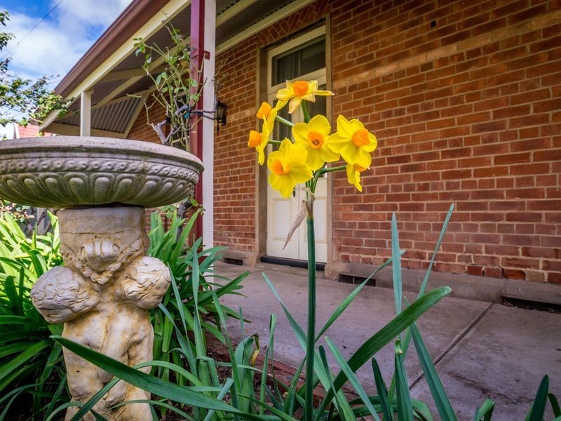 19 Vine Street, Beulah Park SA 5067