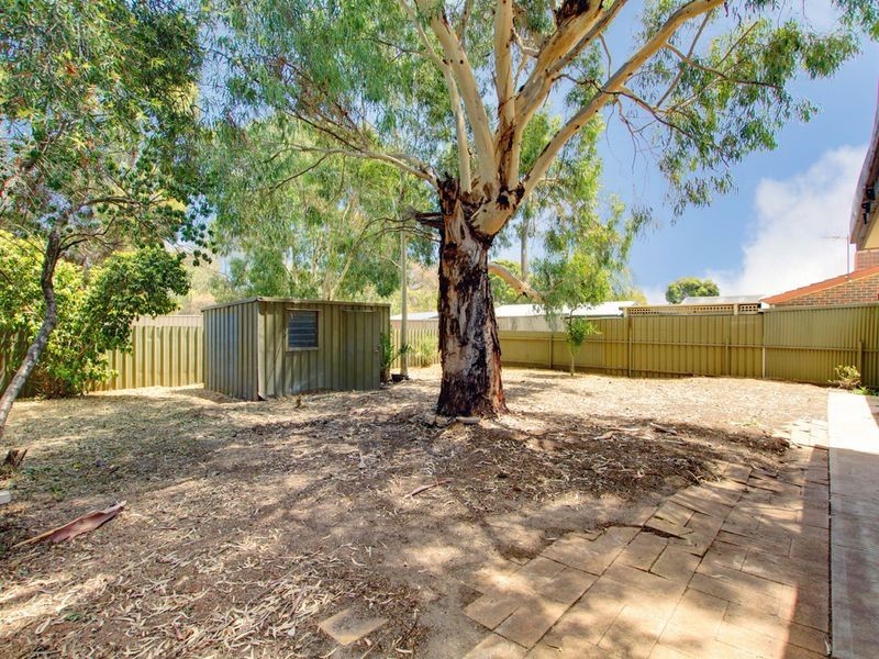 52 Tintara Road, Paralowie SA 5108
