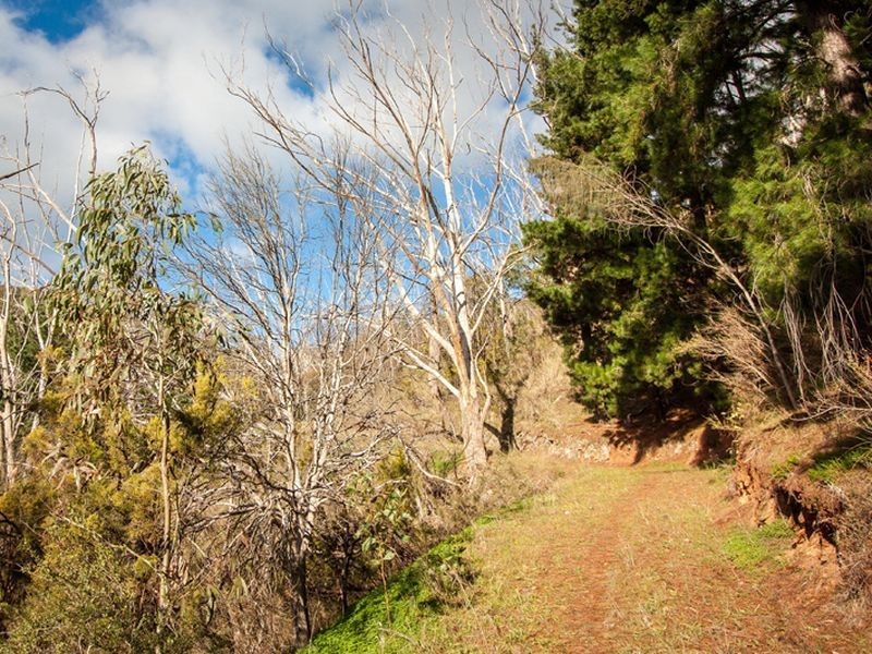 276 – 277 Mawson Road, Basket Range SA 5138