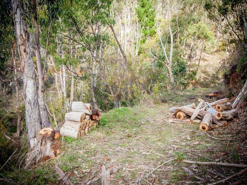 276 – 277 Mawson Road, Basket Range SA 5138