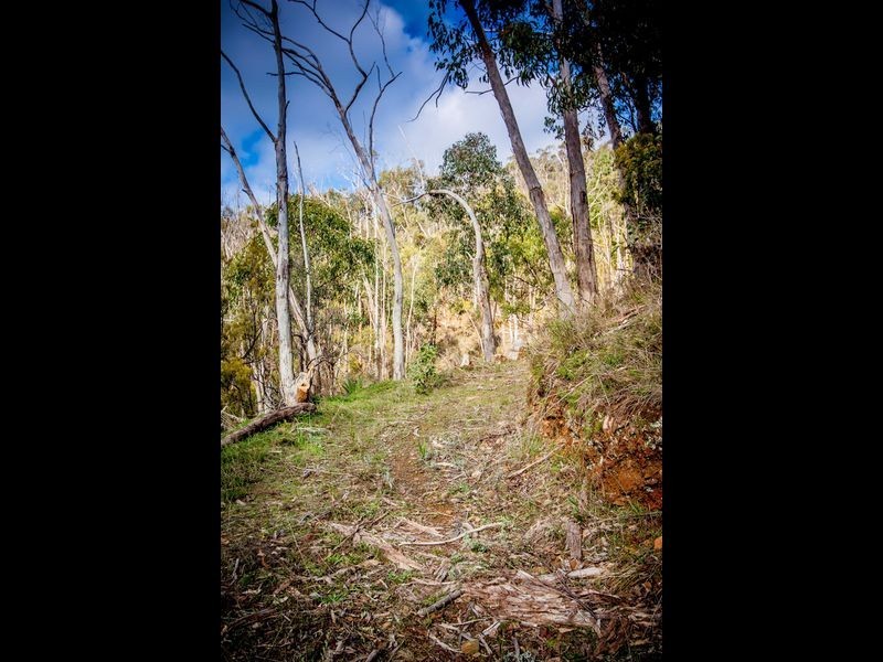 276 – 277 Mawson Road, Basket Range SA 5138