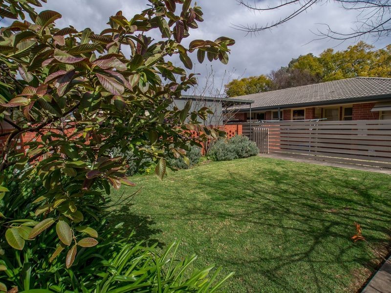 5/51 Phillis Street, Maylands SA 5069