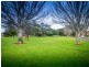 22 Collingwood Avenue, Hazelwood Park SA 5066