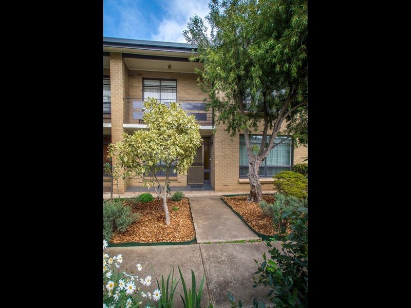 2/5 Alfred Street, Norwood SA 5067