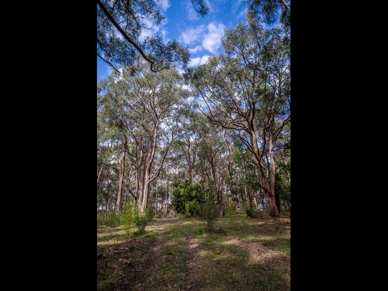 13 Hollidays Road, Summertown SA 5141