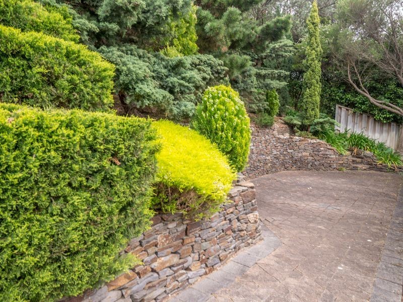 22 Wyfield Street, Wattle Park SA 5066