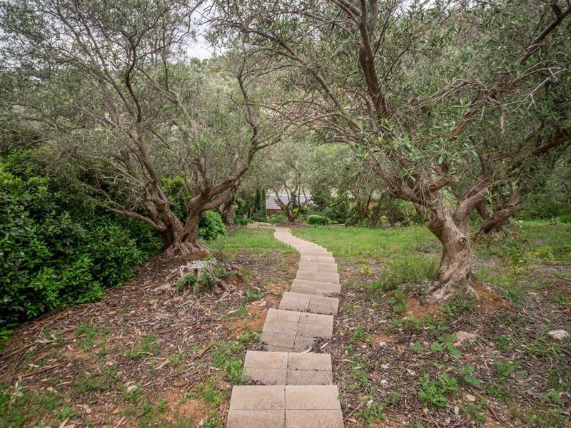 22 Wyfield Street, Wattle Park SA 5066
