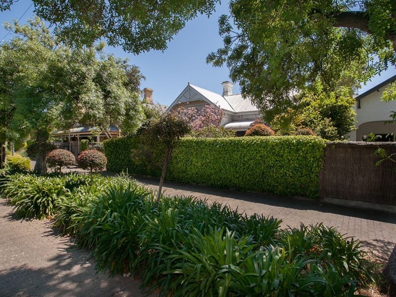 24 Tynte Street, North Adelaide SA 5006