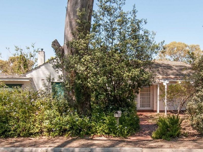 12 Burns Avenue, Hazelwood Park SA 5066