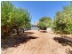 30 Primrose Terrace, Rosslyn Park SA 5072
