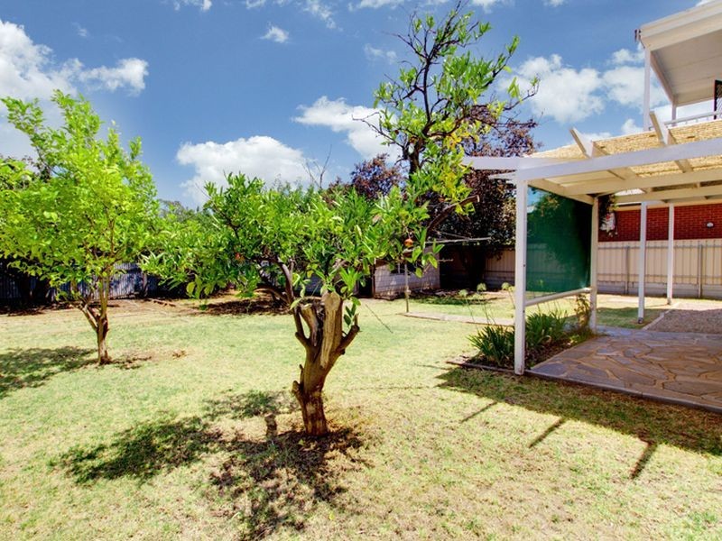 12 Powell Street, Magill SA 5072