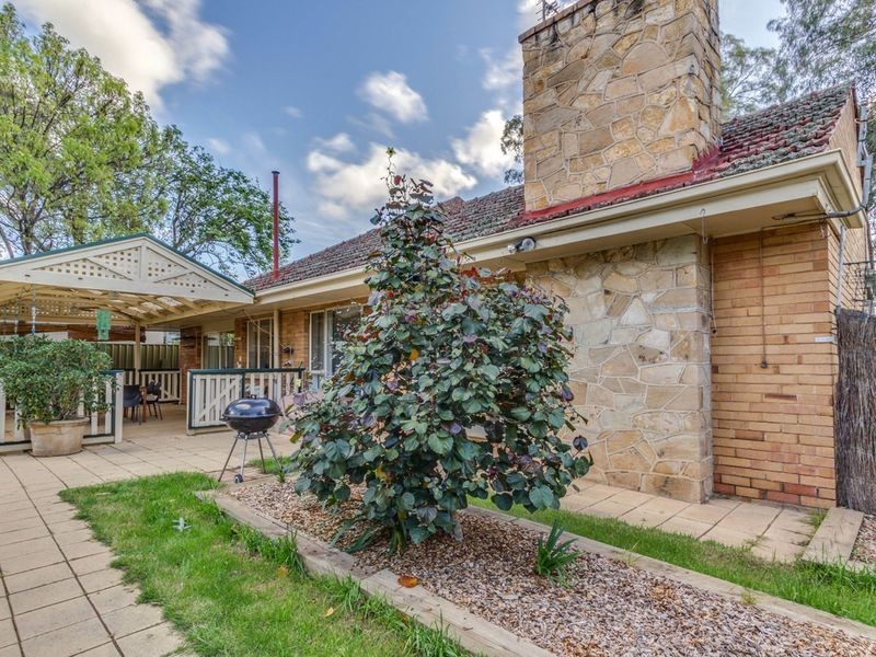 40B Hyland Terrace, Rosslyn Park SA 5072