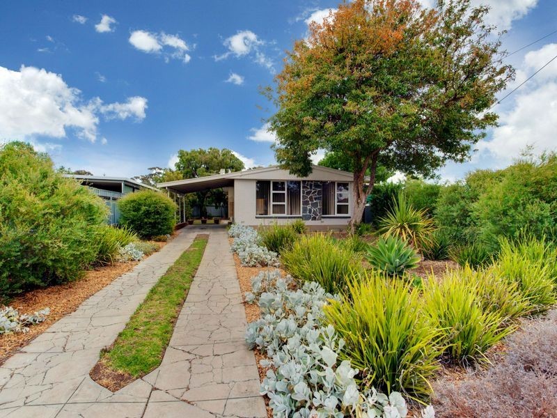19 College Avenue, Valley View SA 5093