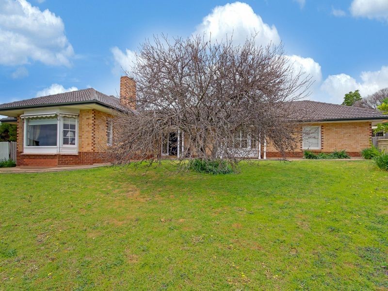 489 Kensington Road, Wattle Park SA 5066